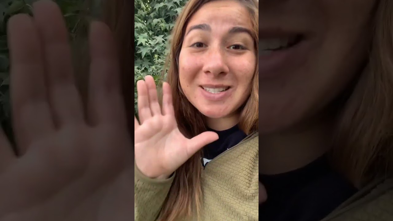 agujeros de ratas en el jardín