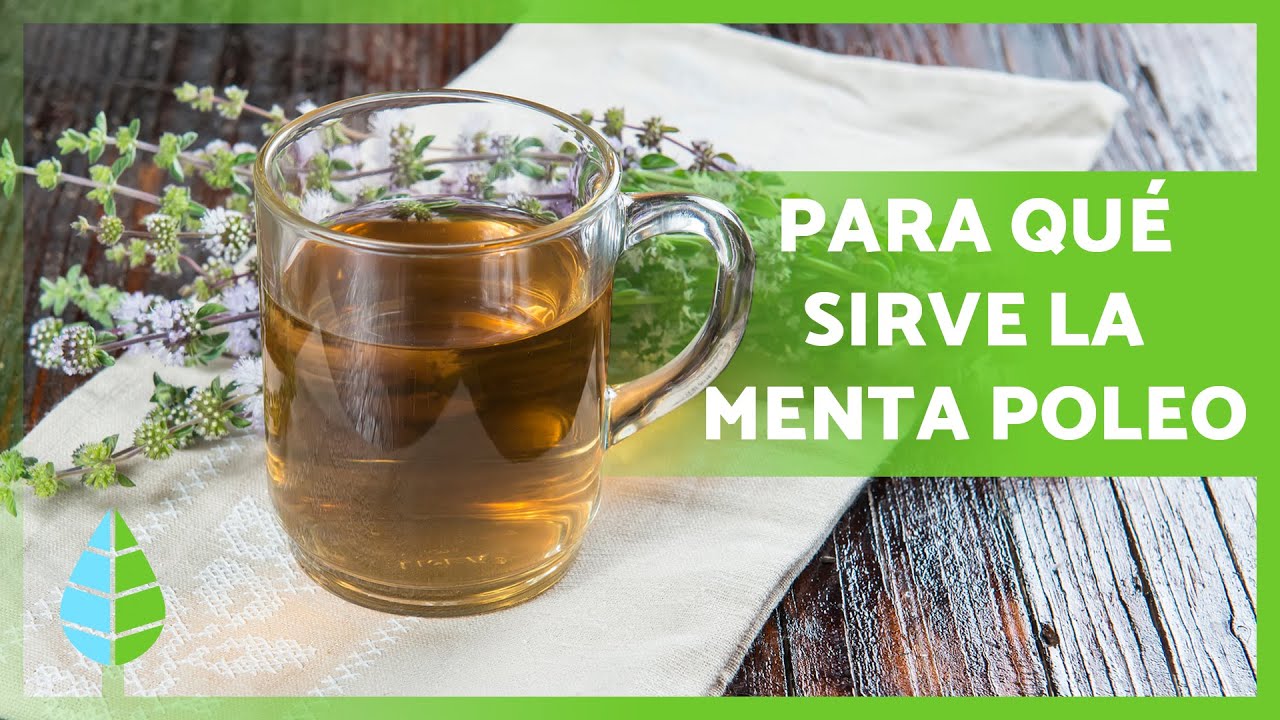 beneficios del poleo menta con limón