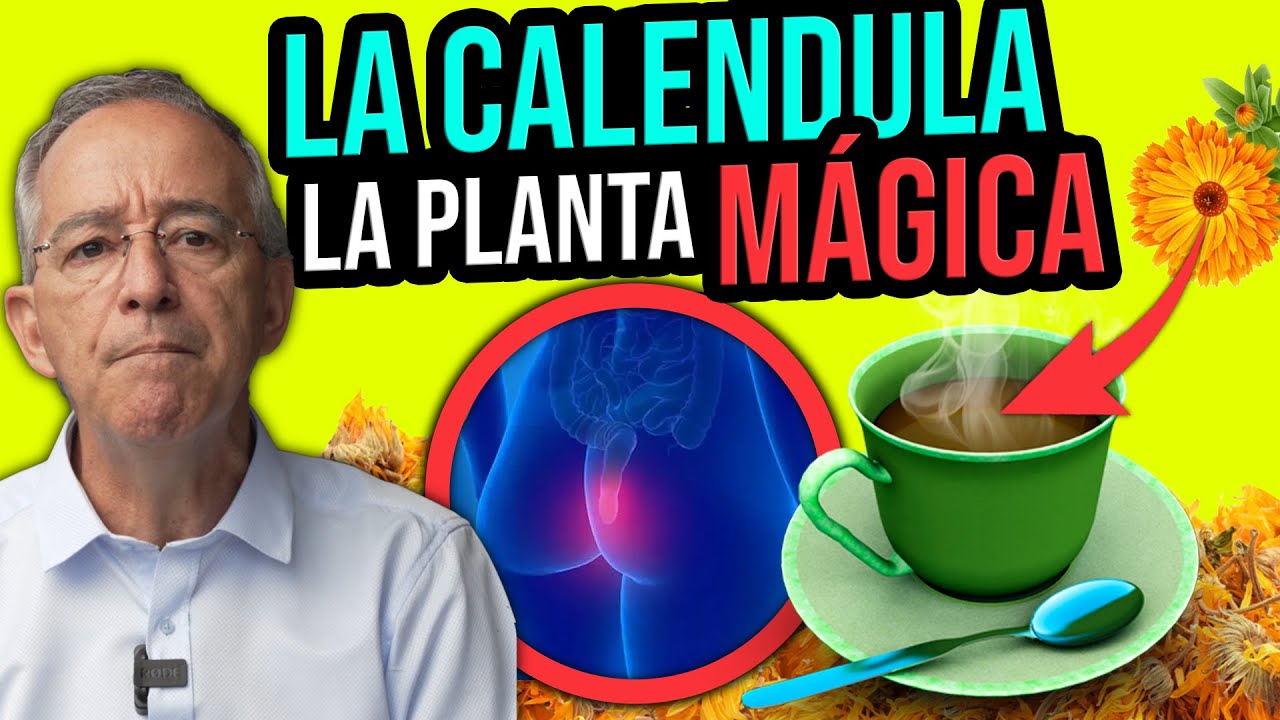 caléndula para que sirve y como se toma