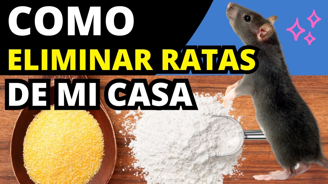 como acabar con los ratones en casa