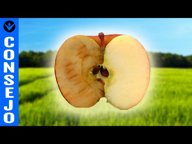 como eliminar toxinas del cuerpo rápidamente