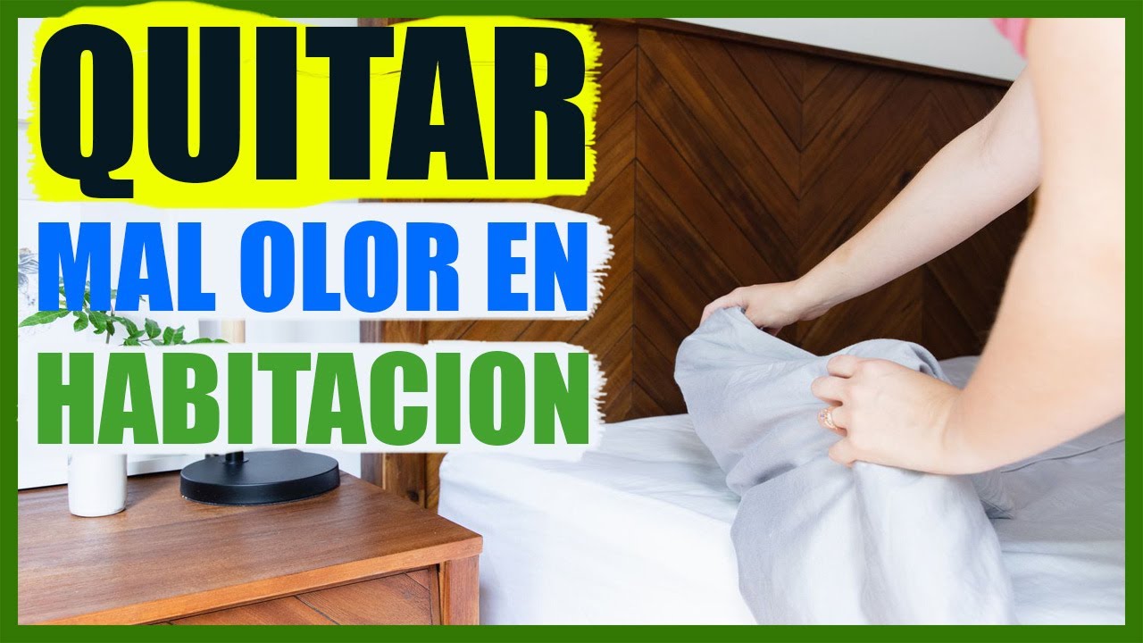 como quitar el mal olor de una habitación
