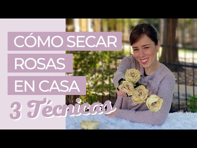 como secar rosas naturales en casa