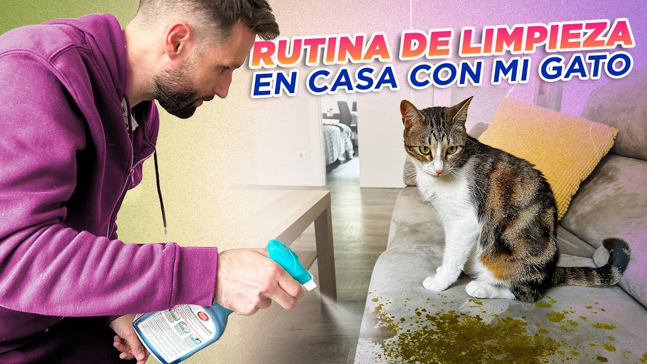 con que fregar el suelo cuando hay gatos