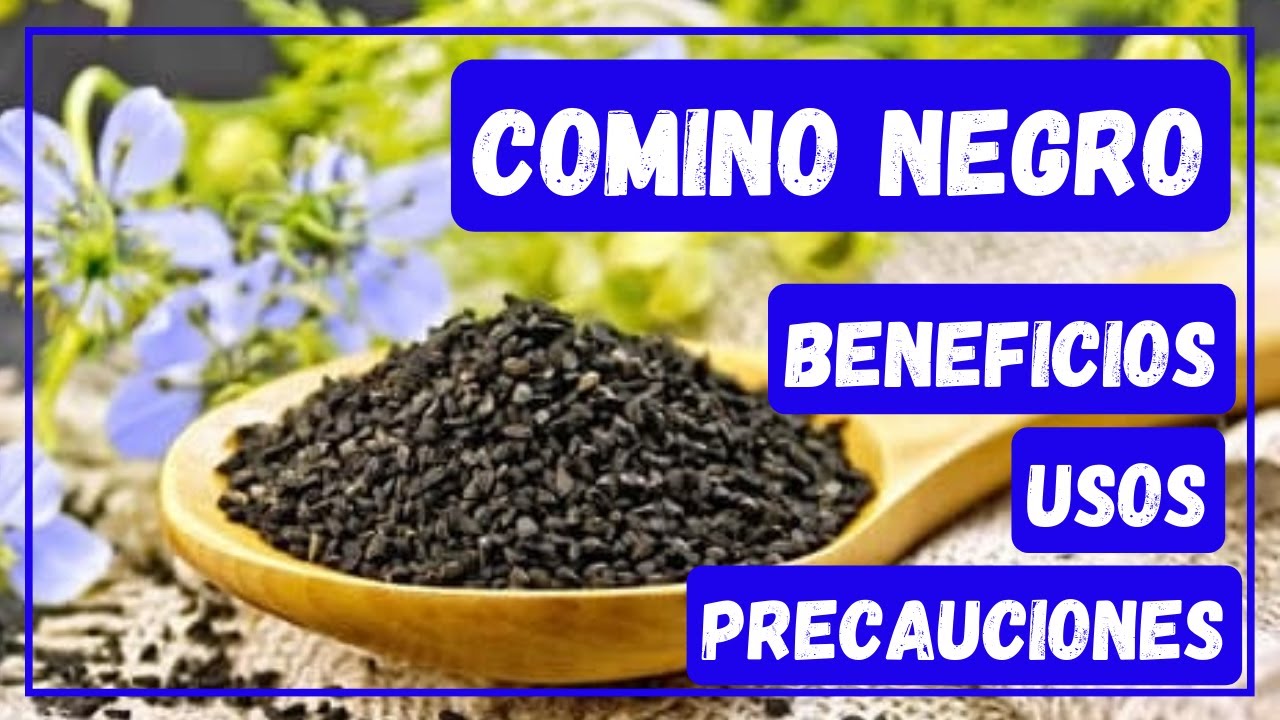contraindicaciones del aceite de comino negro
