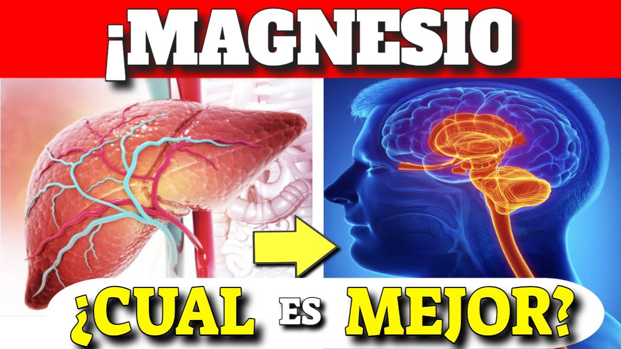 cual es el mejor suplemento de magnesio