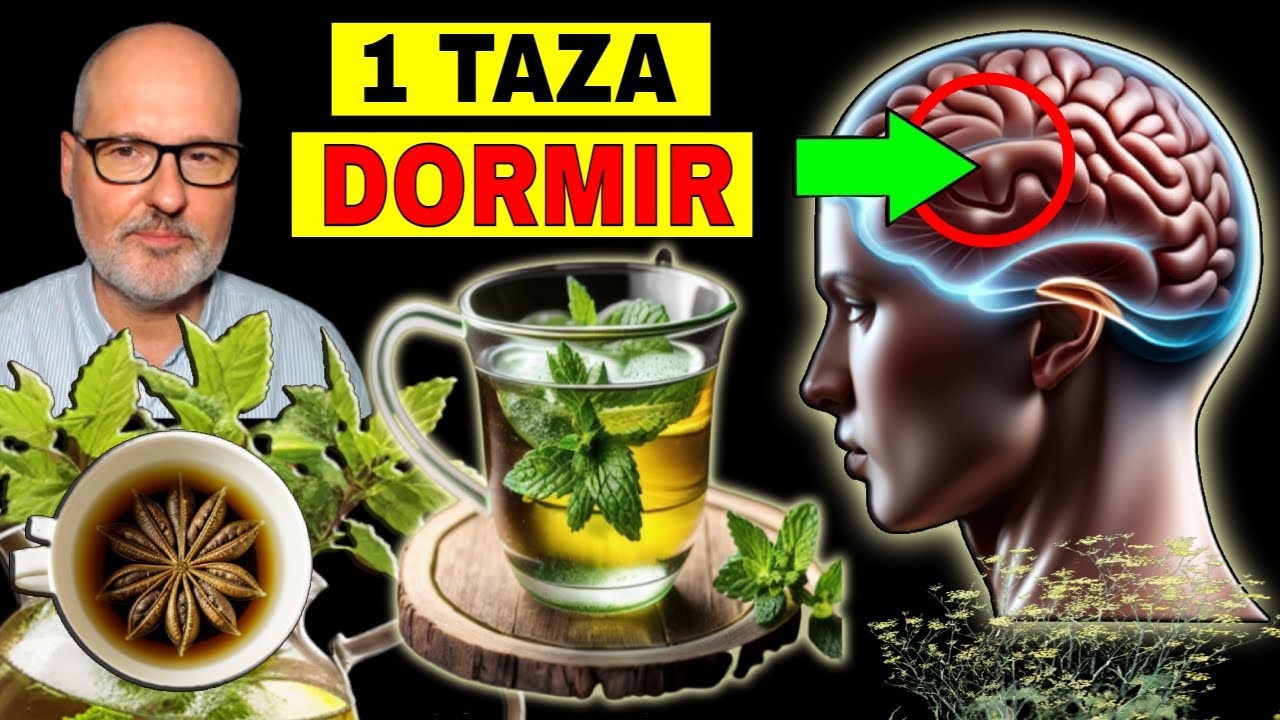 cual es la mejor infusion para dormir