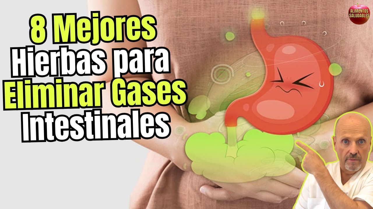 cuál es la mejor infusion para los gases