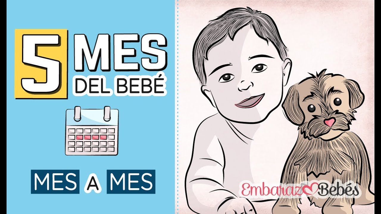 cuanto come un bebe de 5 meses