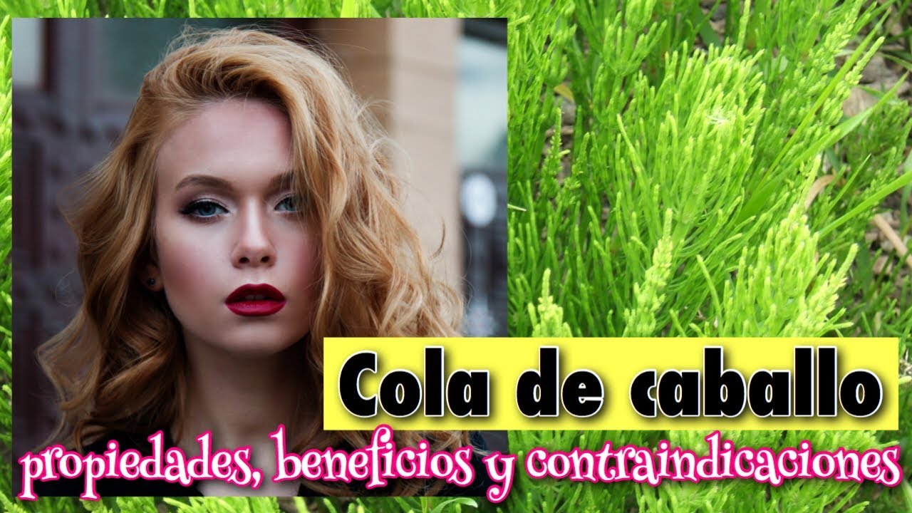 efecto secundario de la cola de caballo