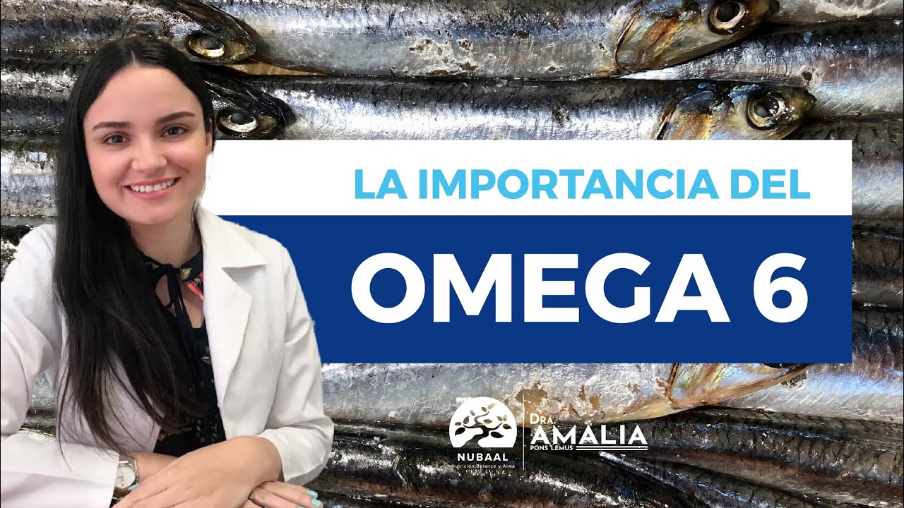 el omega 6 para qué sirve