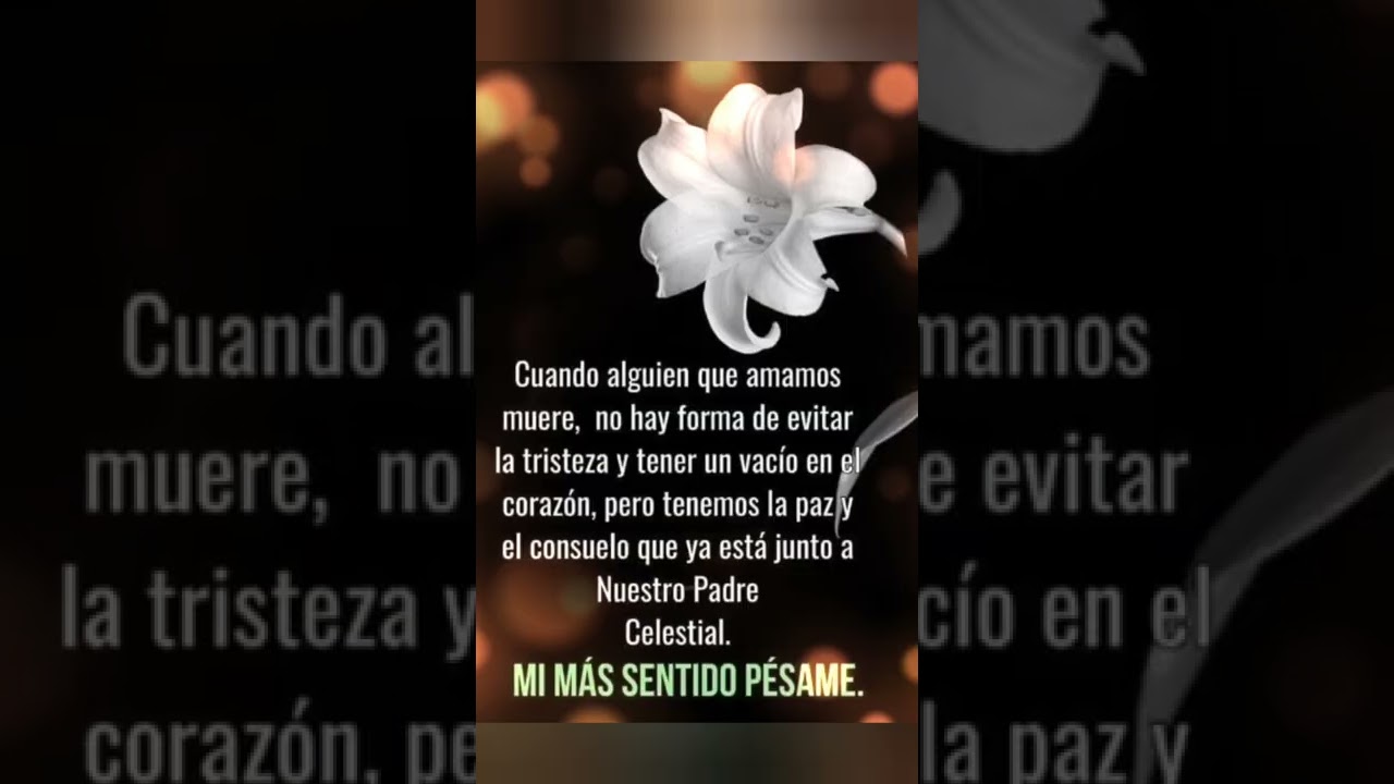 flores para un ser querido fallecido