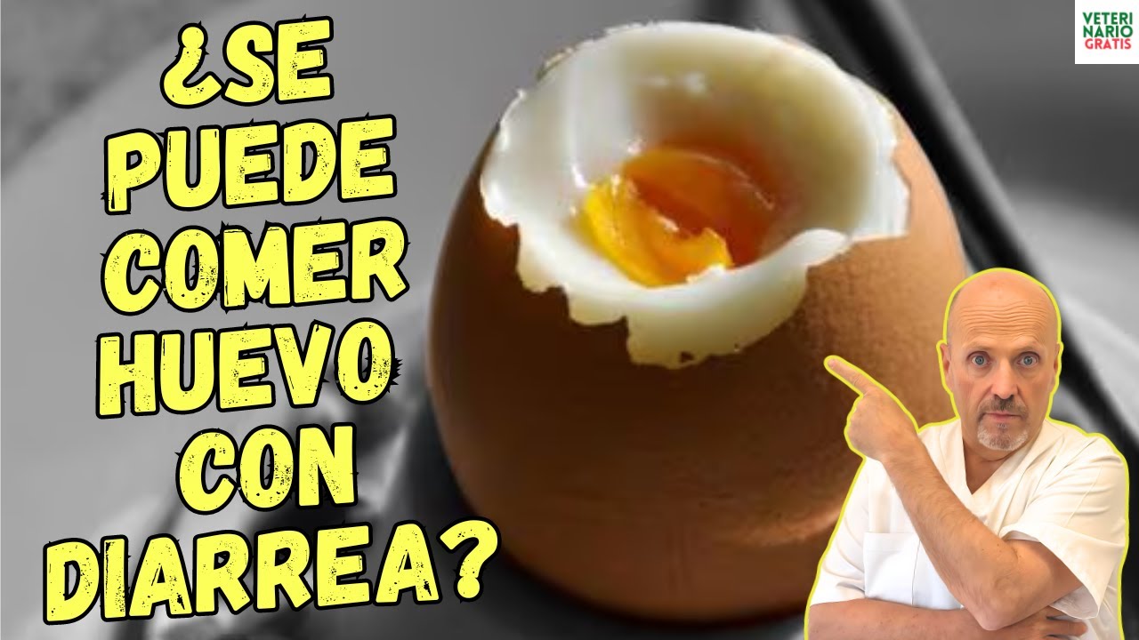 la tortilla de patata es buena para la diarrea