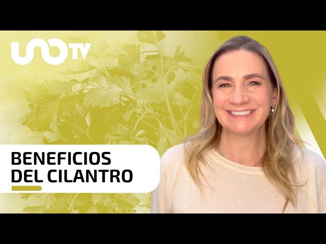 para qué es bueno el cilantro