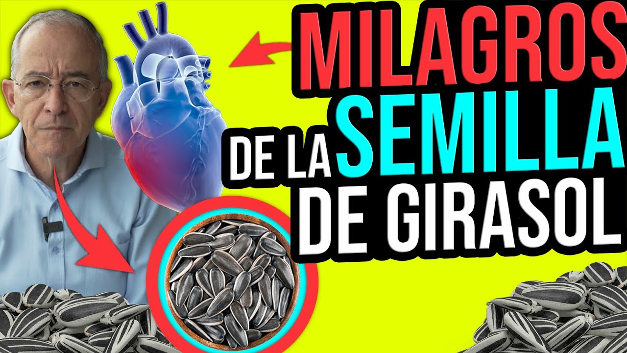 para qué son buenas las pipas de girasol