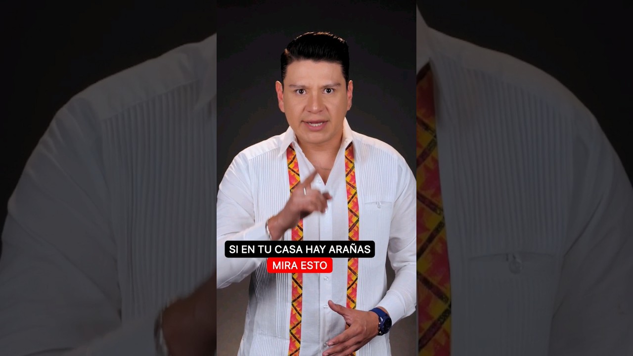 porque hay arañas en mi casa