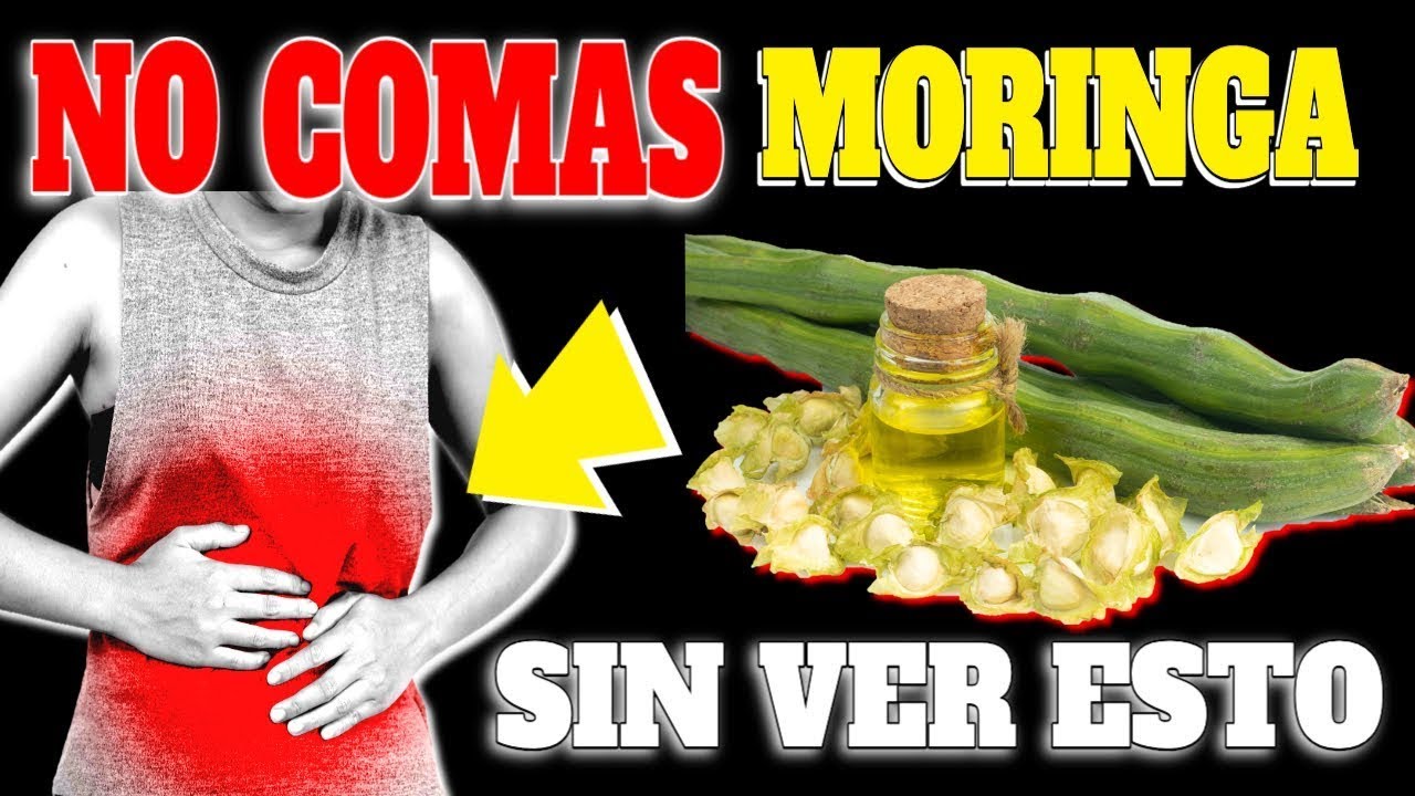 que es la moringa en españa