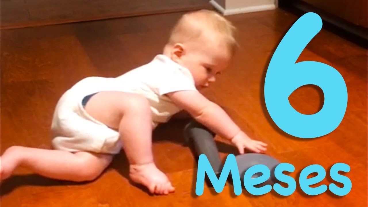 que piensa un bebé de 6 meses