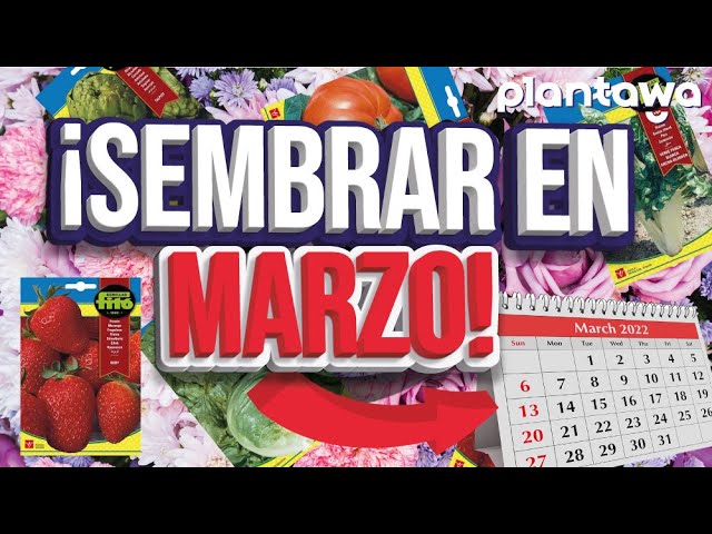 que plantar en marzo en galicia