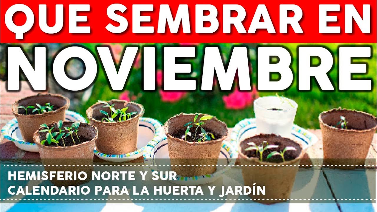 que se puede plantar en noviembre