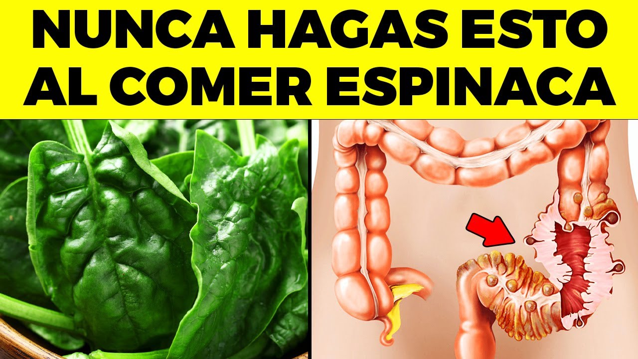 se pueden comer las espinacas crudas