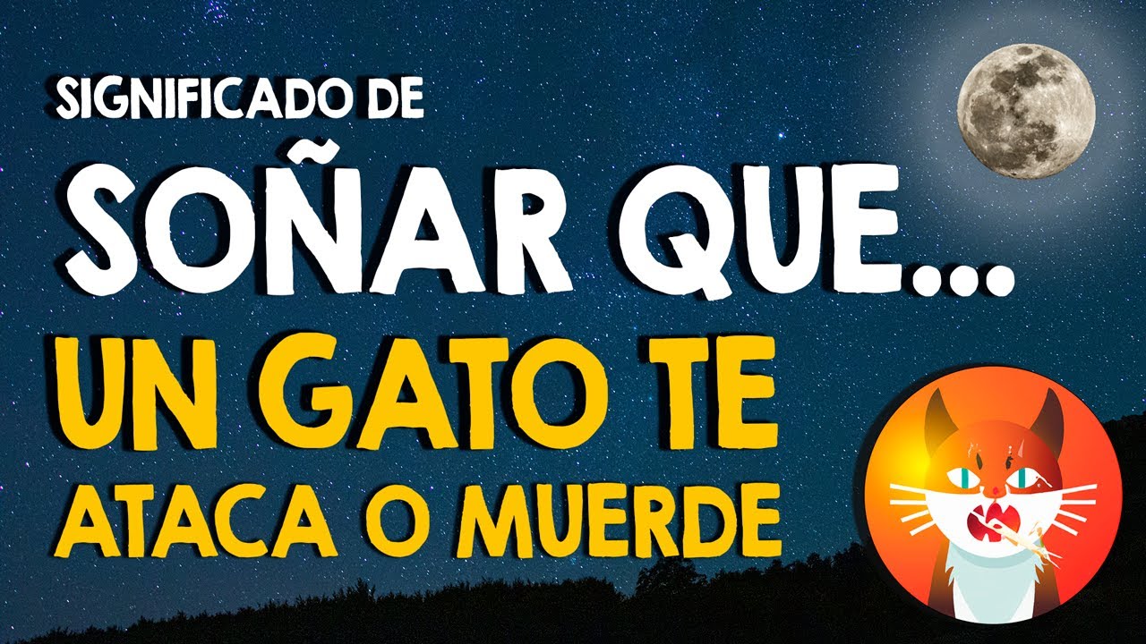soñar con gatos que te muerden