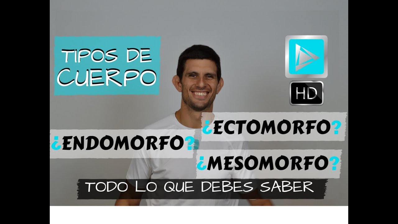 tipos de cuerpo ectomorfo mesomorfo y endomorfo
