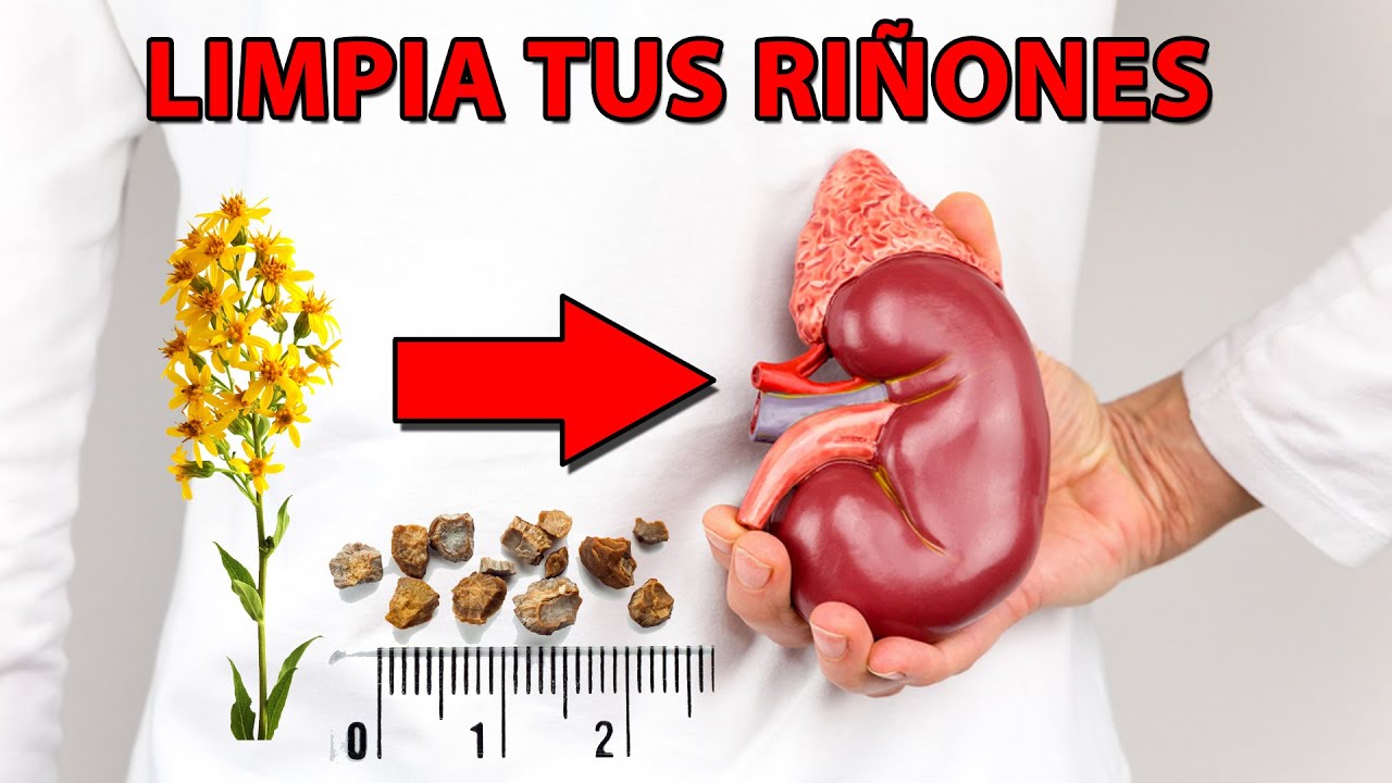 9 hierbas para limpiar los riñones