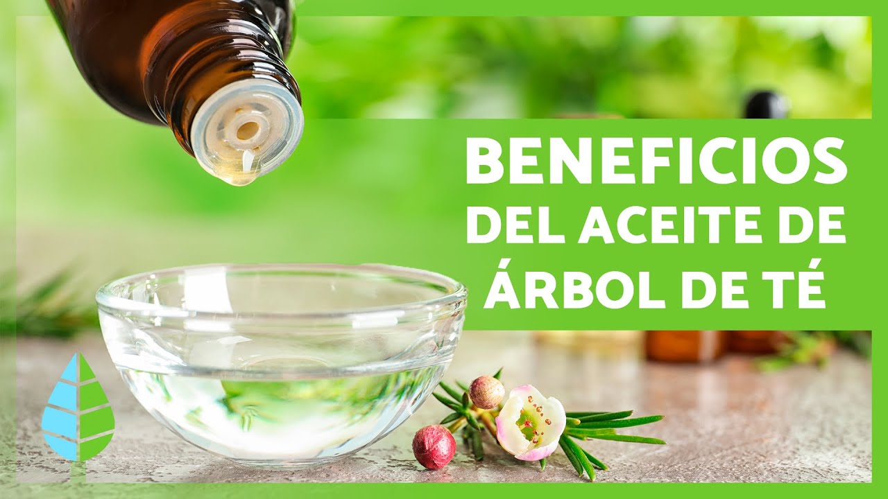 aceite de árbol de té propiedades ginecológicas