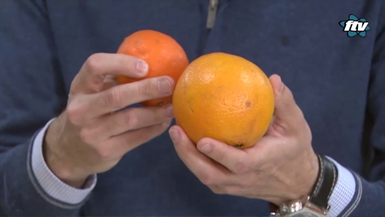 cuando es la epoca de las naranjas