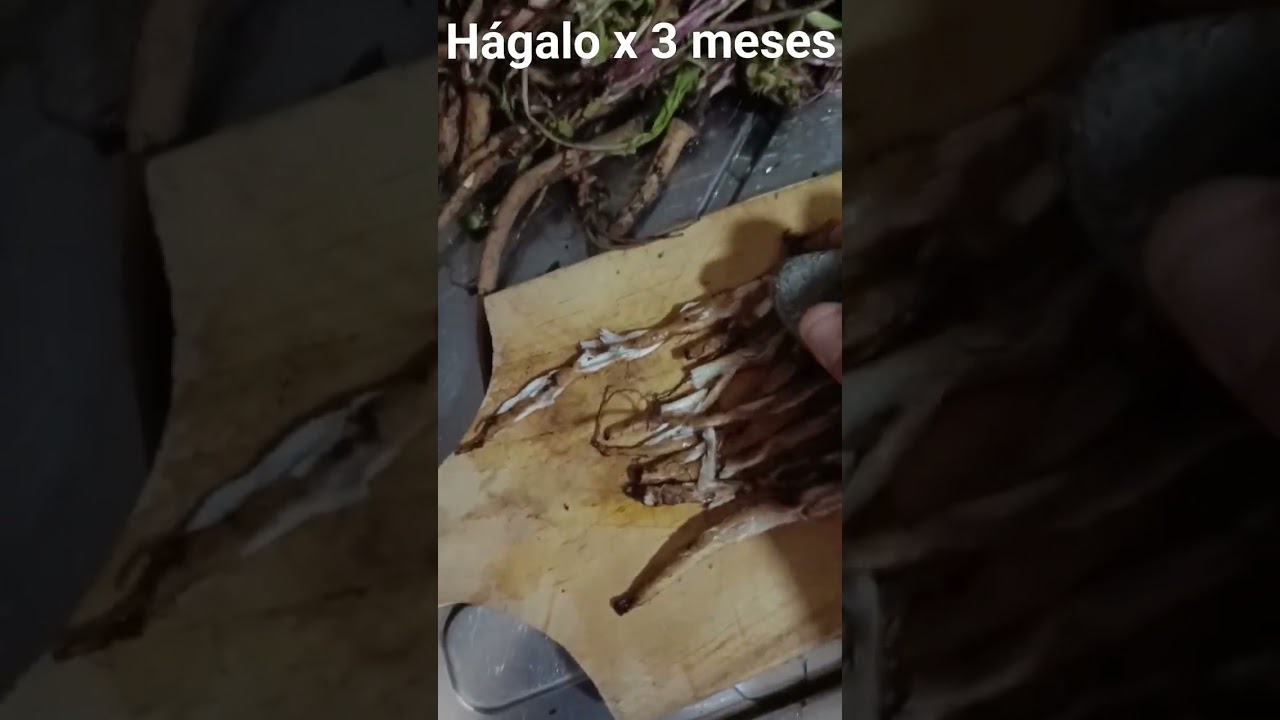 diente de leon y cola de caballo