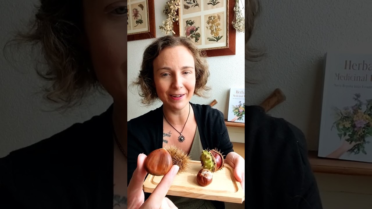 diferencia entre castaño y castaño de indias