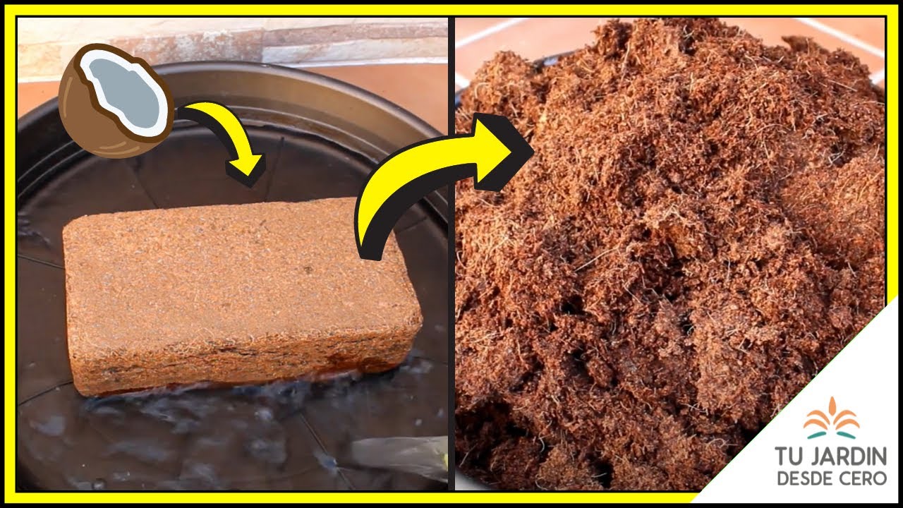 fibra de coco para plantas como usar