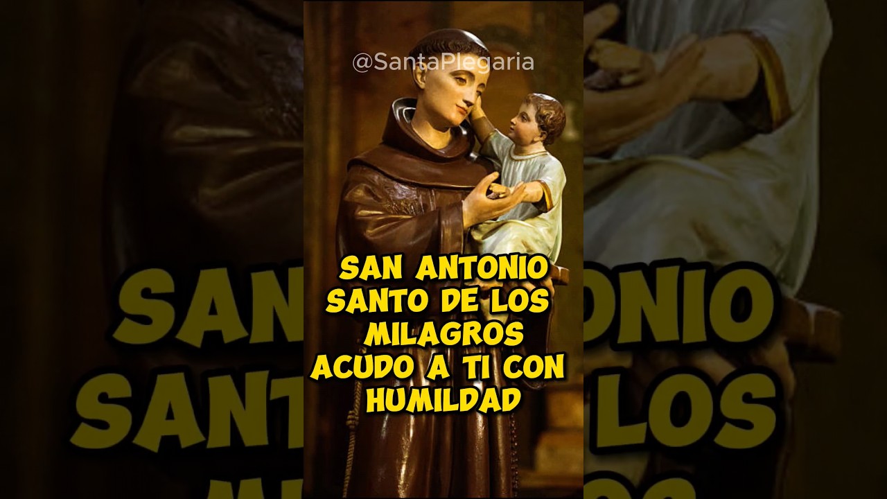 frase de san antonio de padua