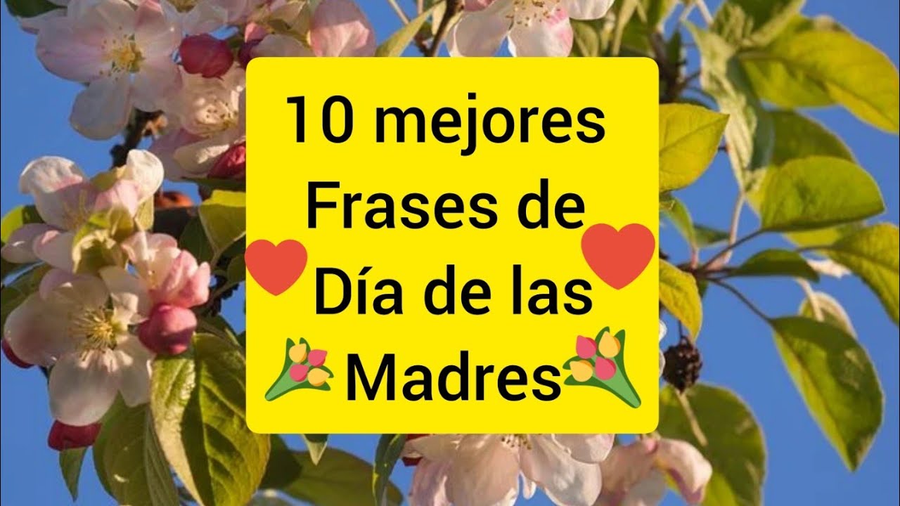 frases del dia de madre cortas