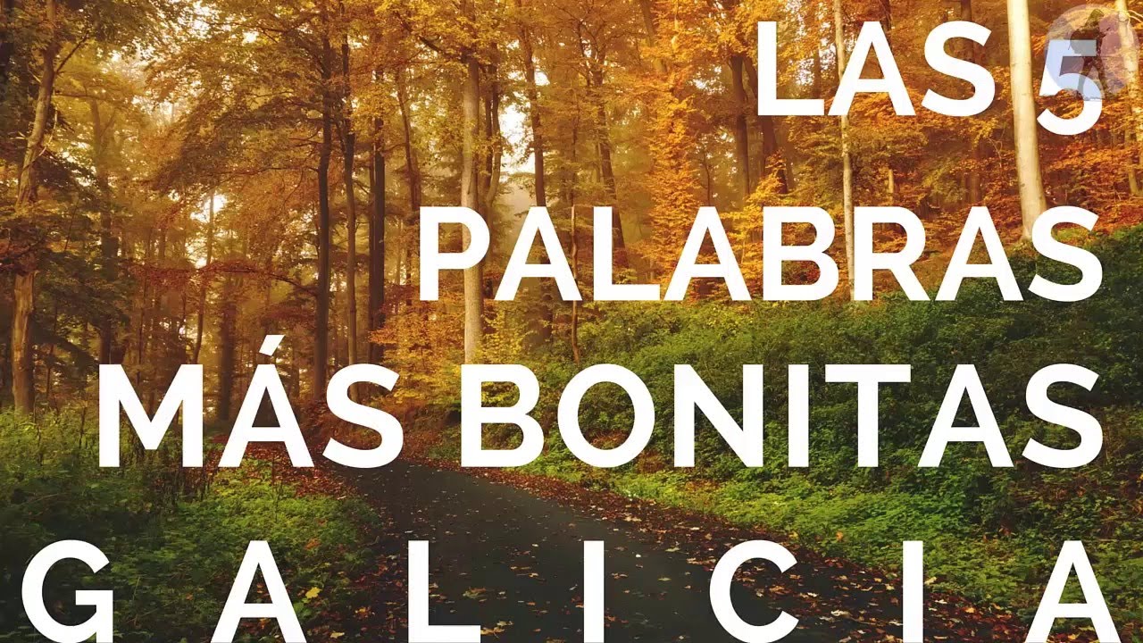 frases en gallego bonitas de amor