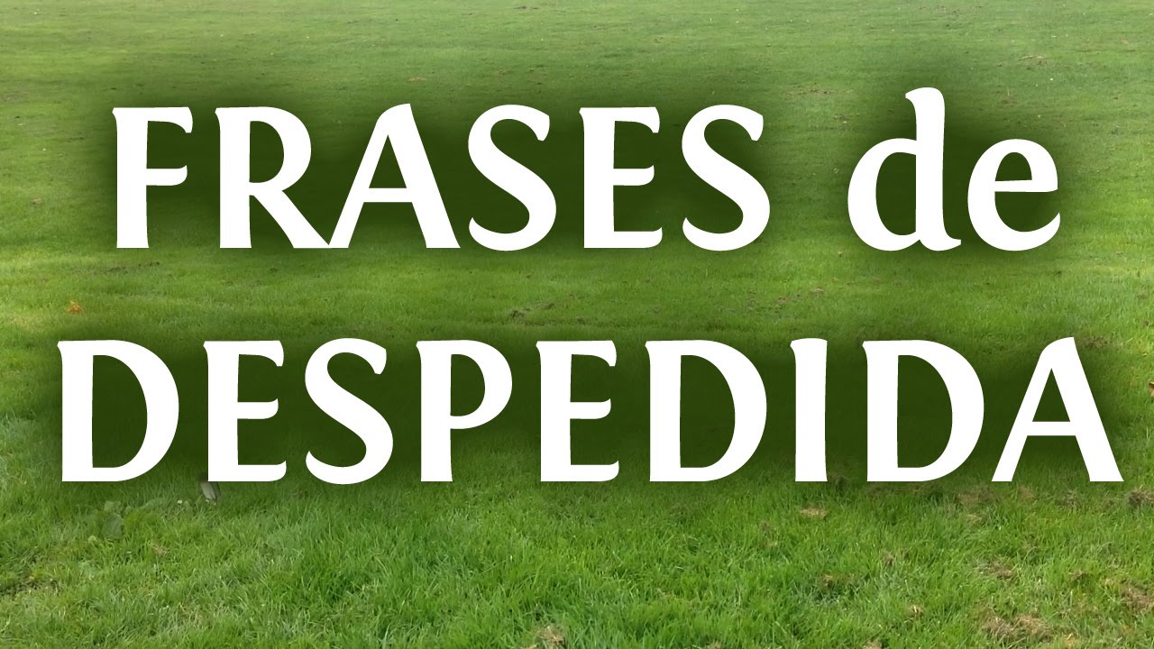 frases para despedir a una compañera de trabajo