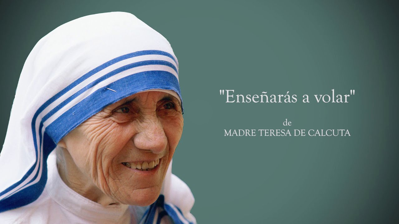 frases teresa de calcuta enseñaras a volar