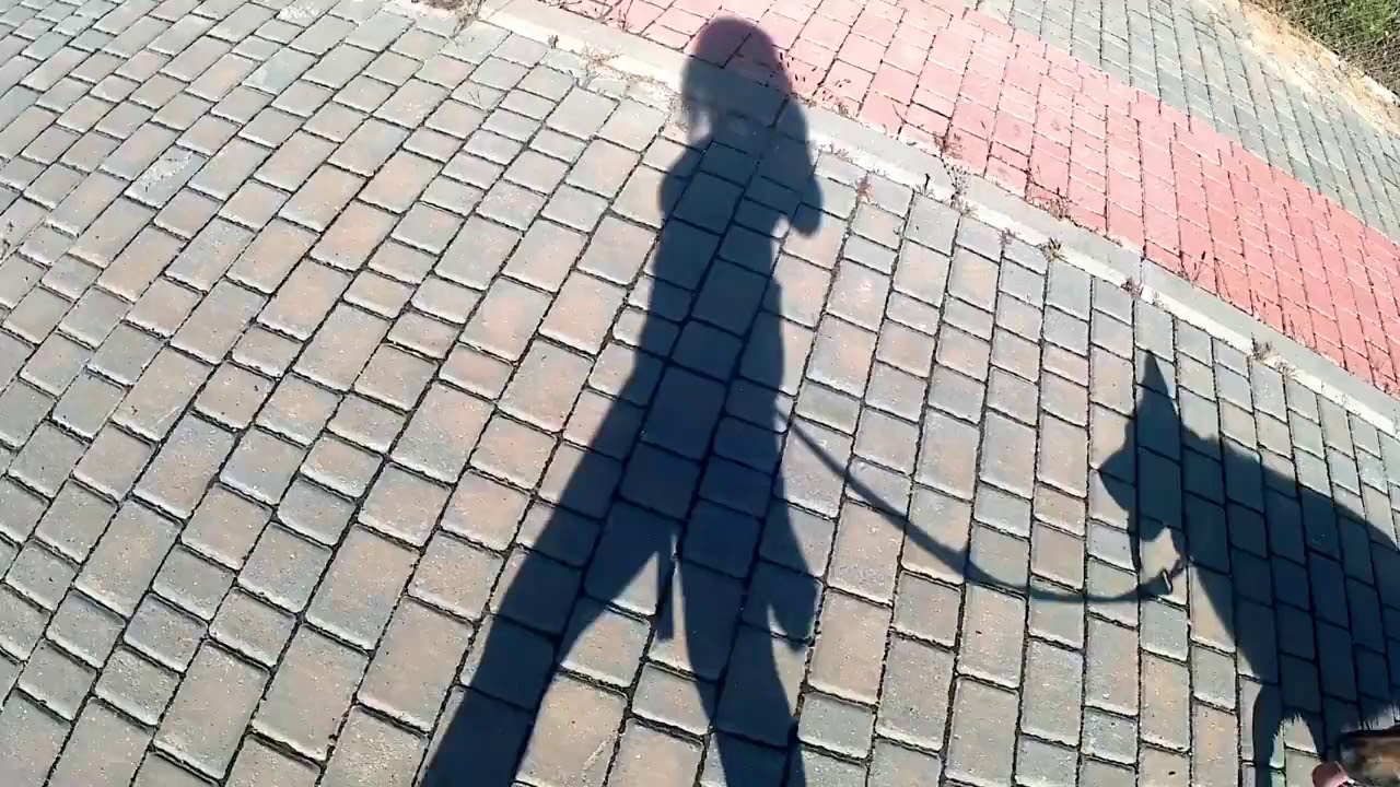 haz mas de eso que te hace feliz