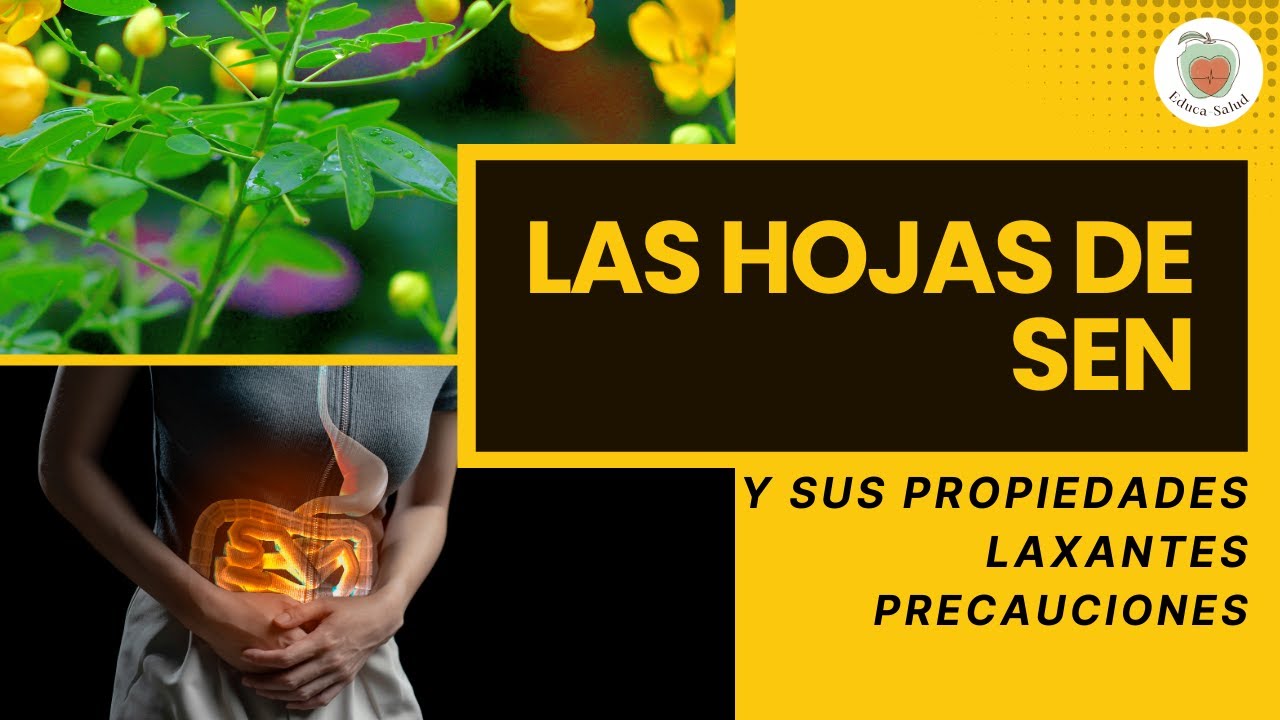 hojas de sen para que sirve