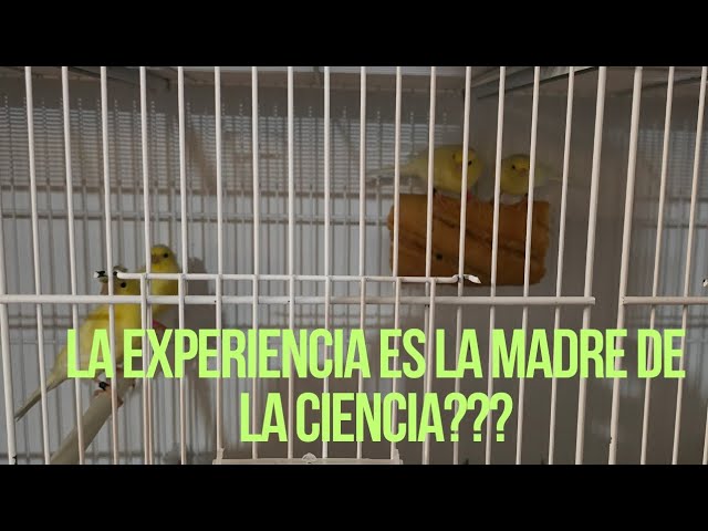 la experiencia es la madre de la ciencia