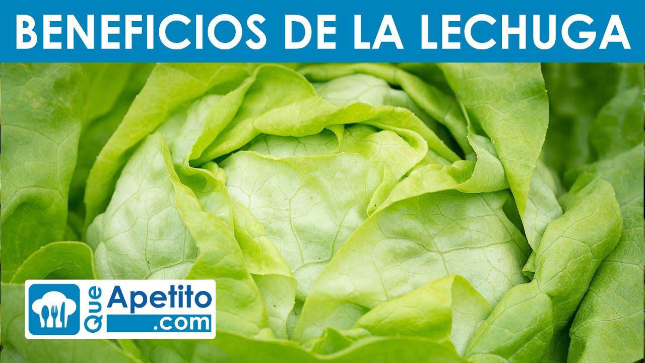 la lechuga para qué es buena