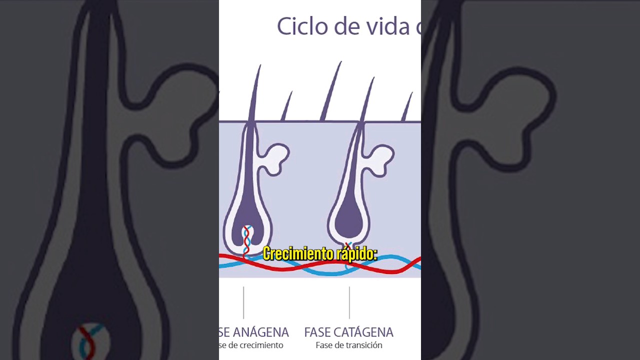 medicamentos que producen caída del pelo
