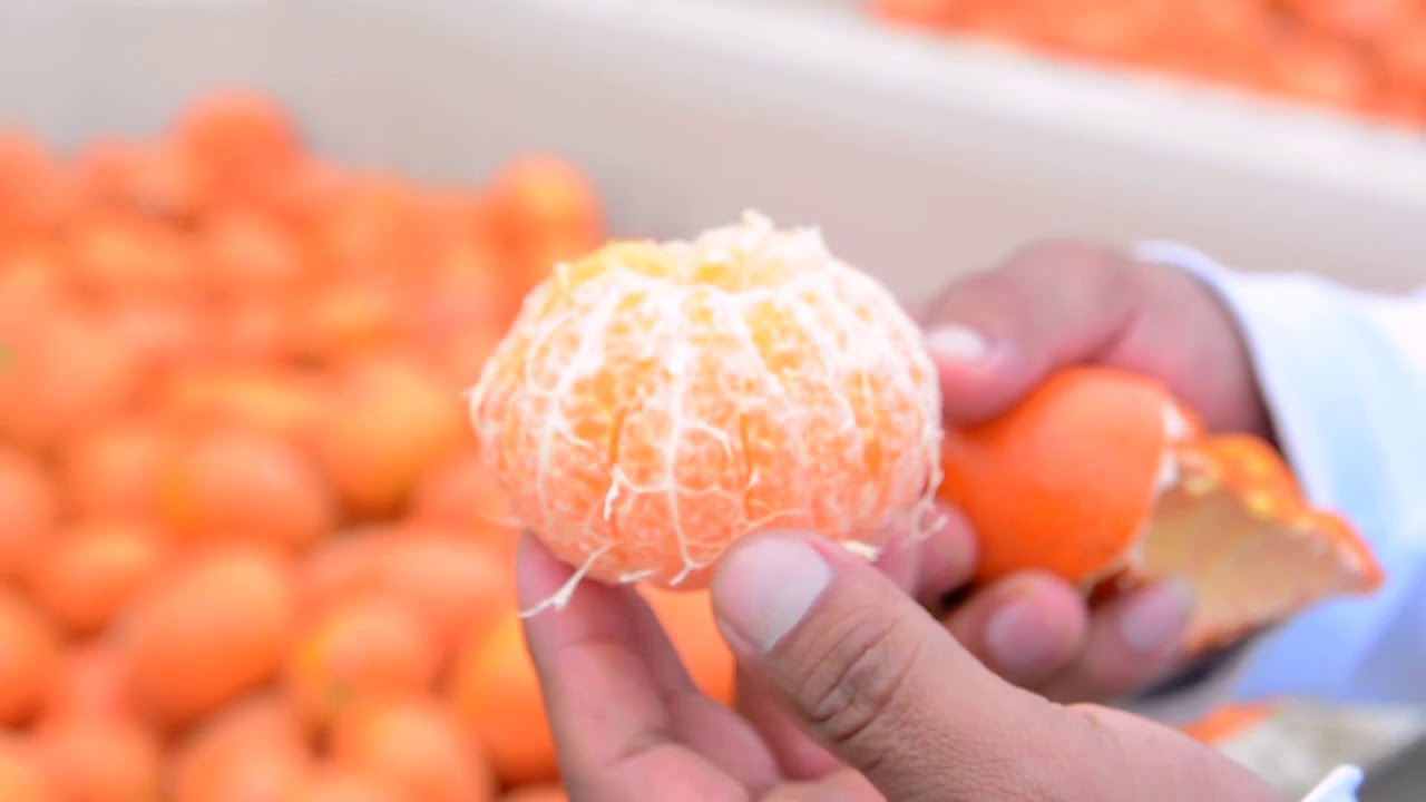 para q es buena la mandarina