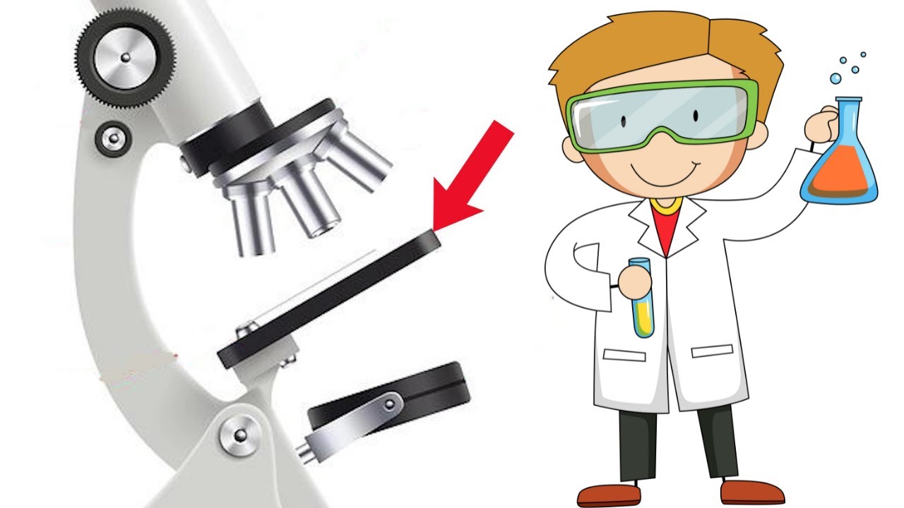 partes del microscopio y sus funciones