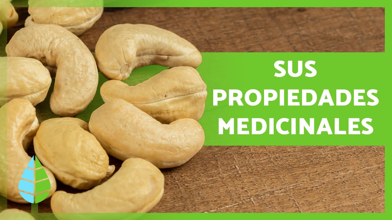 propiedades de los anacardos y sus beneficios