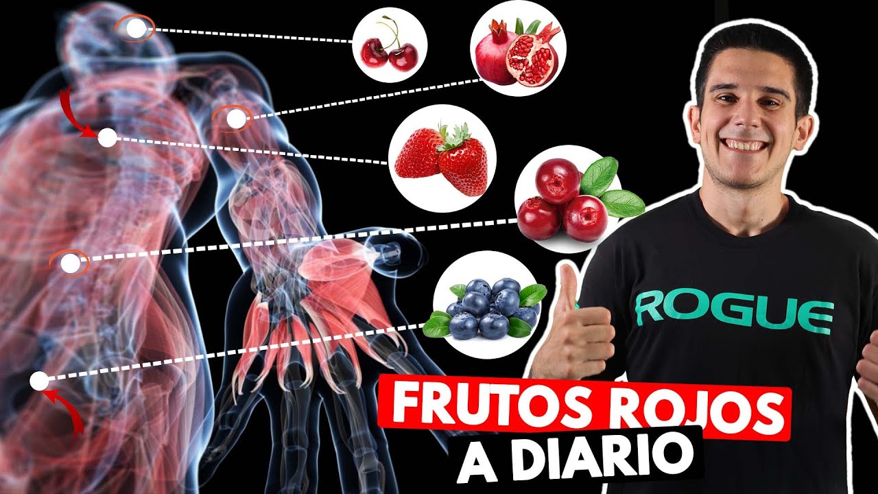 propiedades del te de frutos rojos