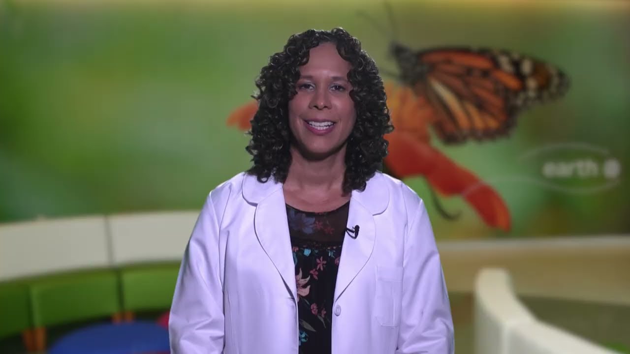 que grado de minusvalía tiene un niño con autismo