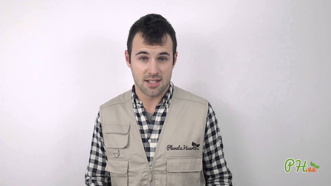 que plantar en abril en galicia