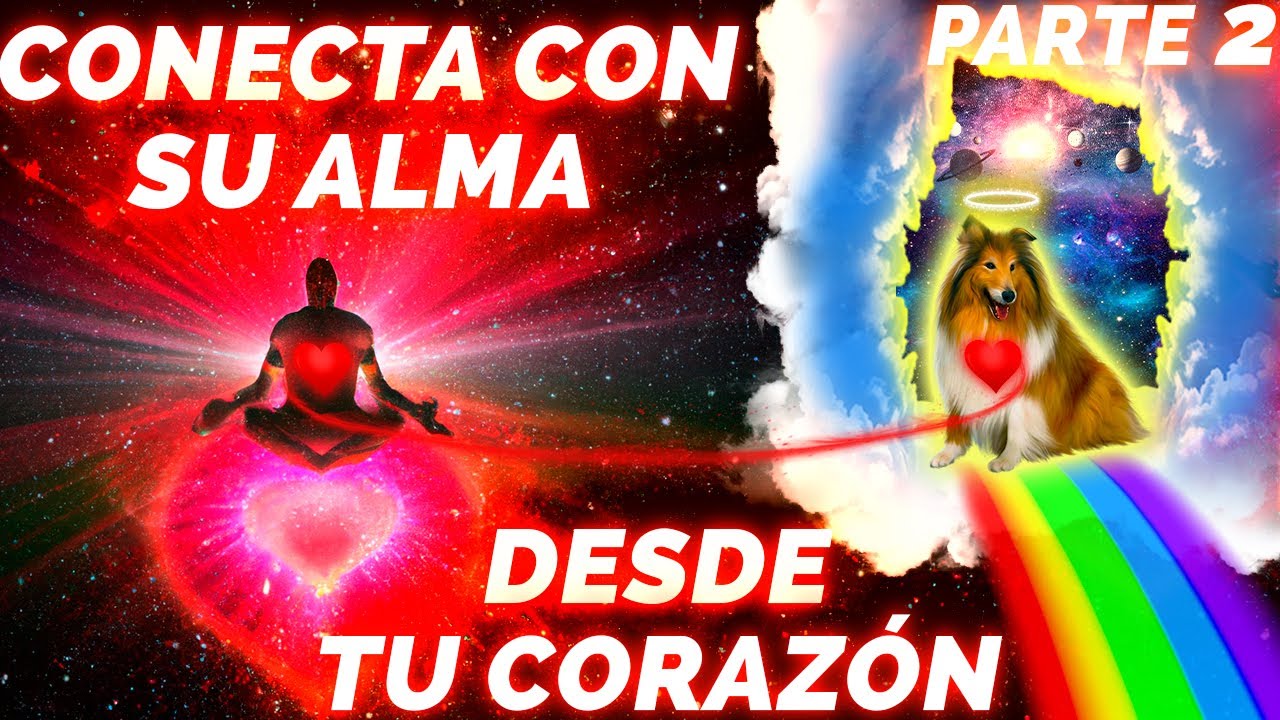 quiero conectar con mi perro fallecido